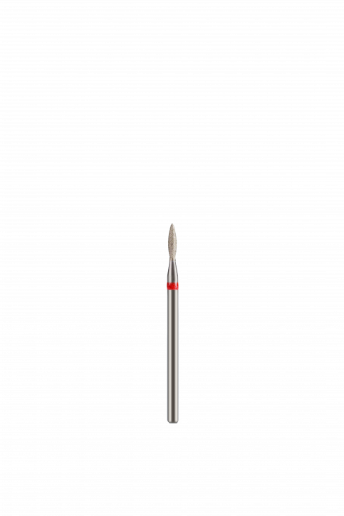 DZ1013F